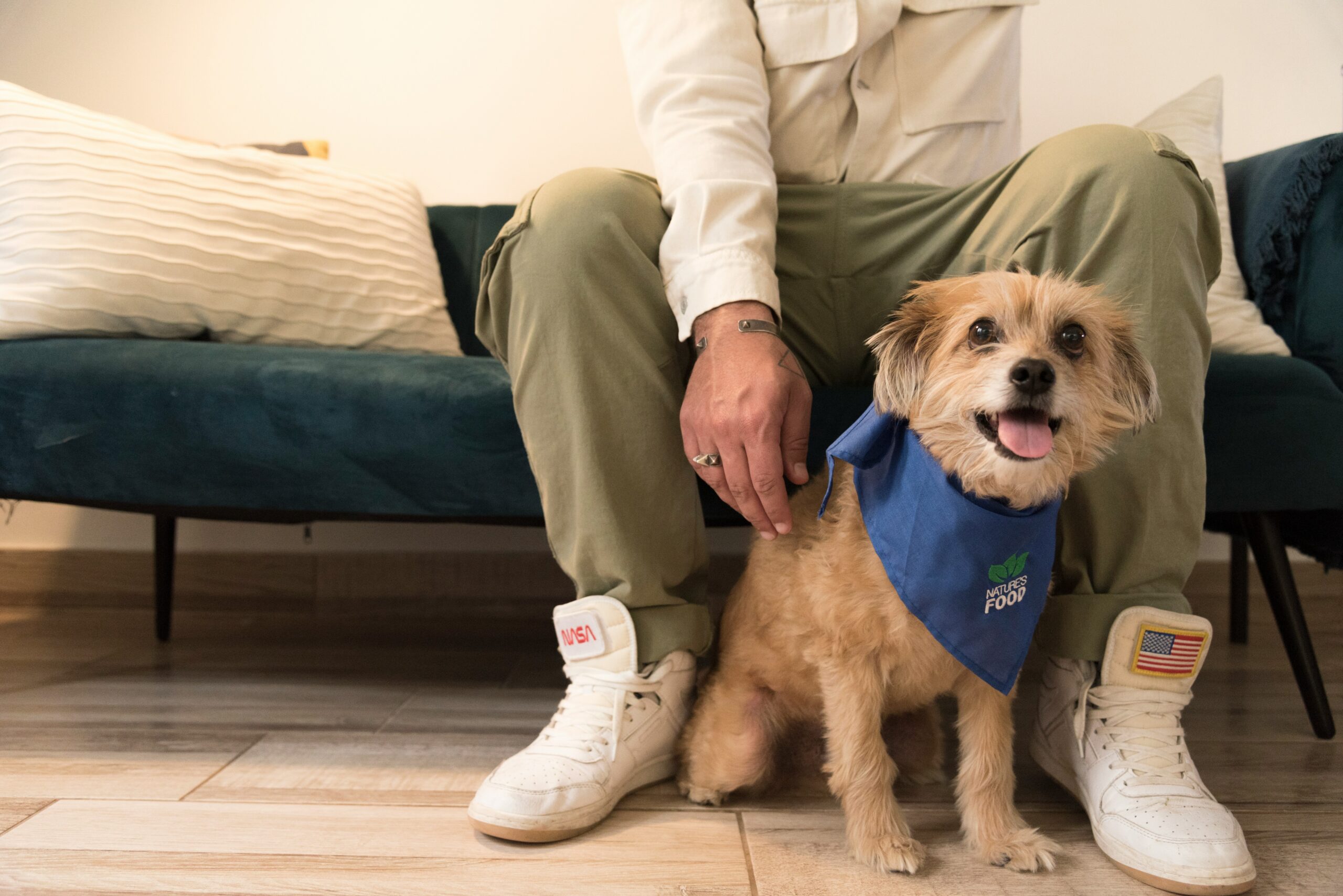 CLINICAVETERINARIAPICARRAS (18)